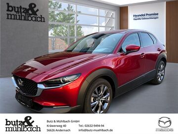 Gebrauchte Mazda CX-30