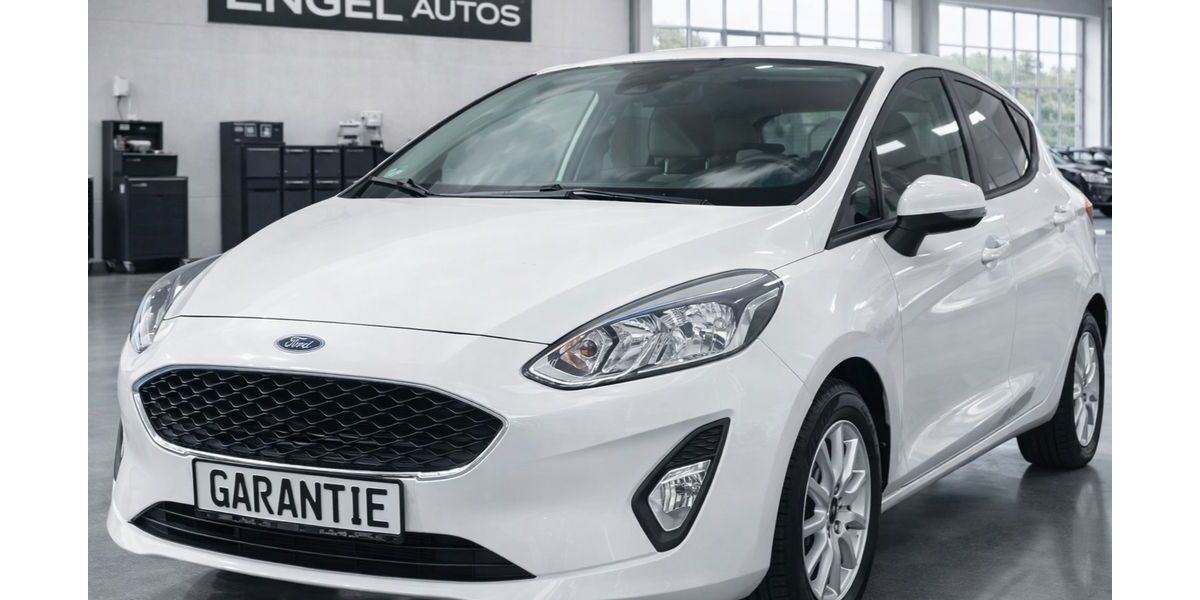 Ford Fiesta 42.200 km 9.790 &euro; Moschheim 56424