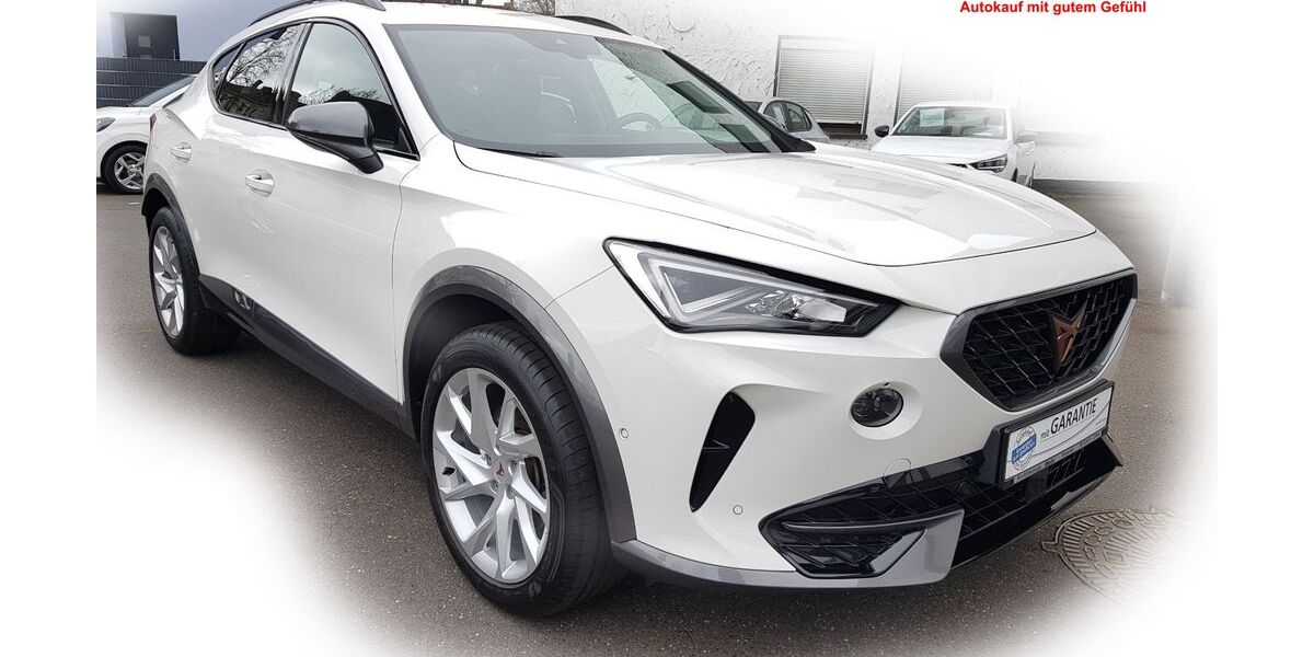 Cupra Formentor 29.500 km 24.980 &euro; Neuwied 56564